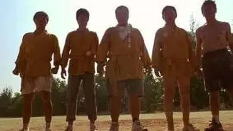 壹号娱乐网址 产品 130243 lvc