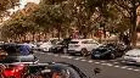 第二十五届信鸽国赛（河北站）与第二十三届廊坊国际名鸽展在廊坊盛大启幕